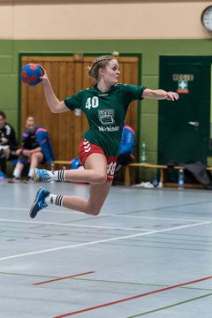 Bild 224 - Damen HSG Kremperheide/M�nsterdorf - Suchsdorfer SV : Ergebnis: 39:22